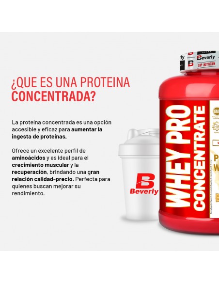 WHEY PRO CONCENTRATE | 2 Kg | 8 Sabores | Lacprodan®