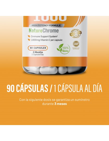 VITAMIN C 1000 | 90 Cápsulas vegetales | 1 gr de Vitamina C por cápsula | 90 servicios