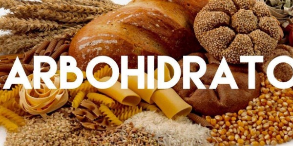 ¿Qué son los Carbohidratos?